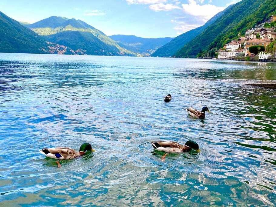 Una Finestra Sul Lago Argegno Eksteriør billede